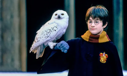 'Harry Potter' hayranlarına müjde: Dizi için oyuncu seçmeleri başlıyor