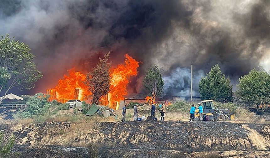 Tekirdağ'da anız yangını geri dönüşüm tesisine sıçradı: İtfaiye ekipleri seferber oldu